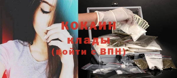 ECSTASY Покачи