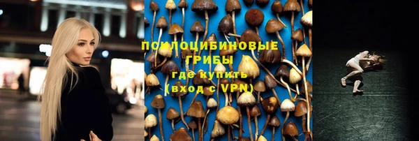 ECSTASY Пролетарск