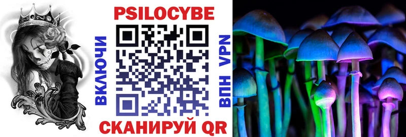 Галлюциногенные грибы Cubensis  Лодейное Поле 
